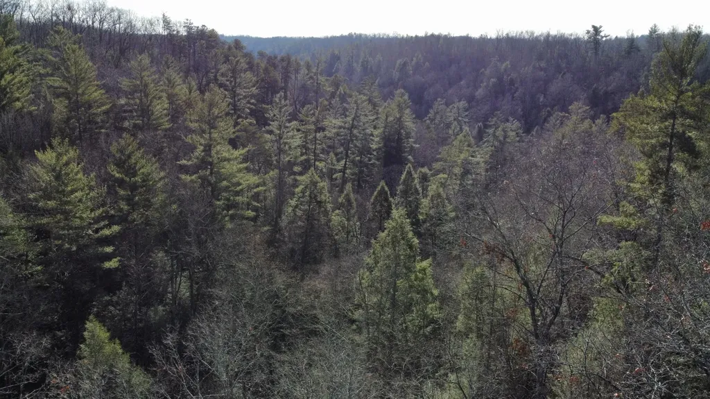 Lot 20 Cliffview Reserve Zoe KY 41397