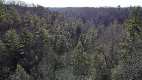 Lot 20 Cliffview Reserve Zoe KY 41397