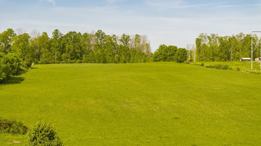 1855 S Shepola Road Nancy KY 42544