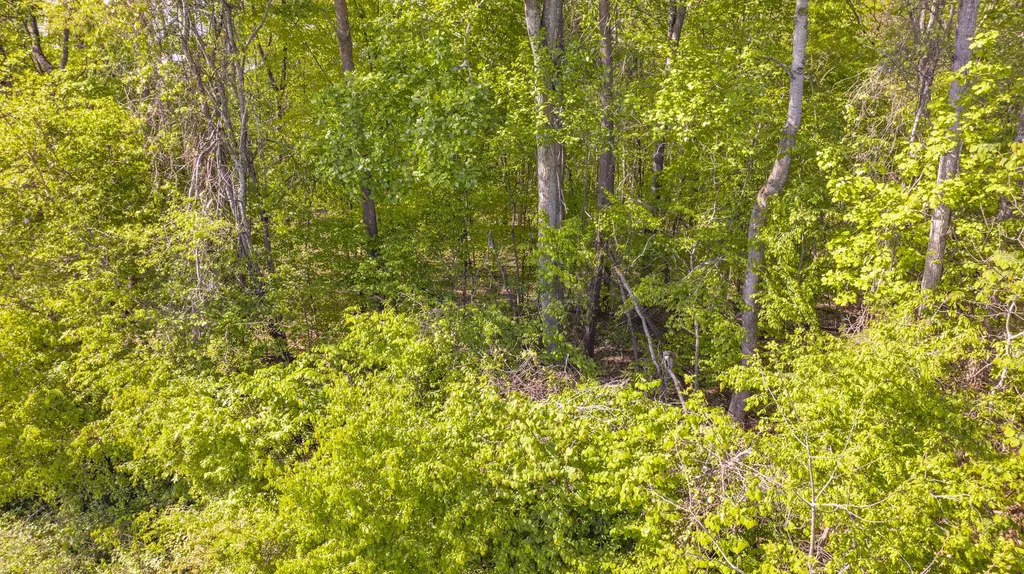 1855 S Shepola Road Nancy KY 42544