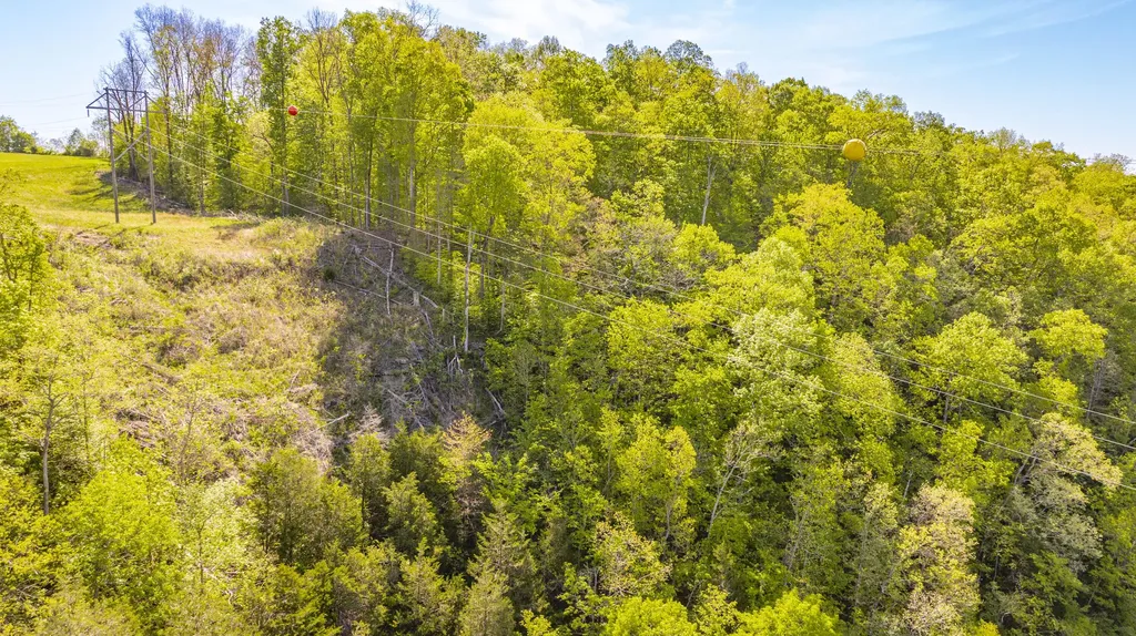 1855 S Shepola Road Nancy KY 42544