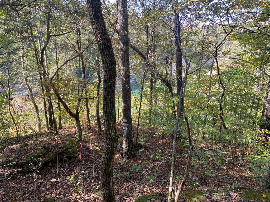 3A Cherokee Trail Nancy KY 42544