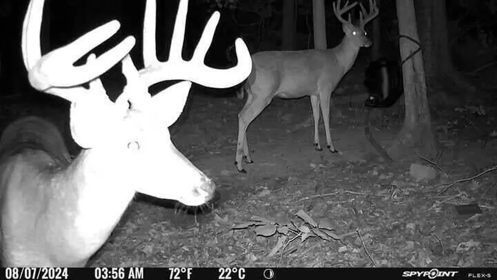 732 Highway 558 Albany KY 42602