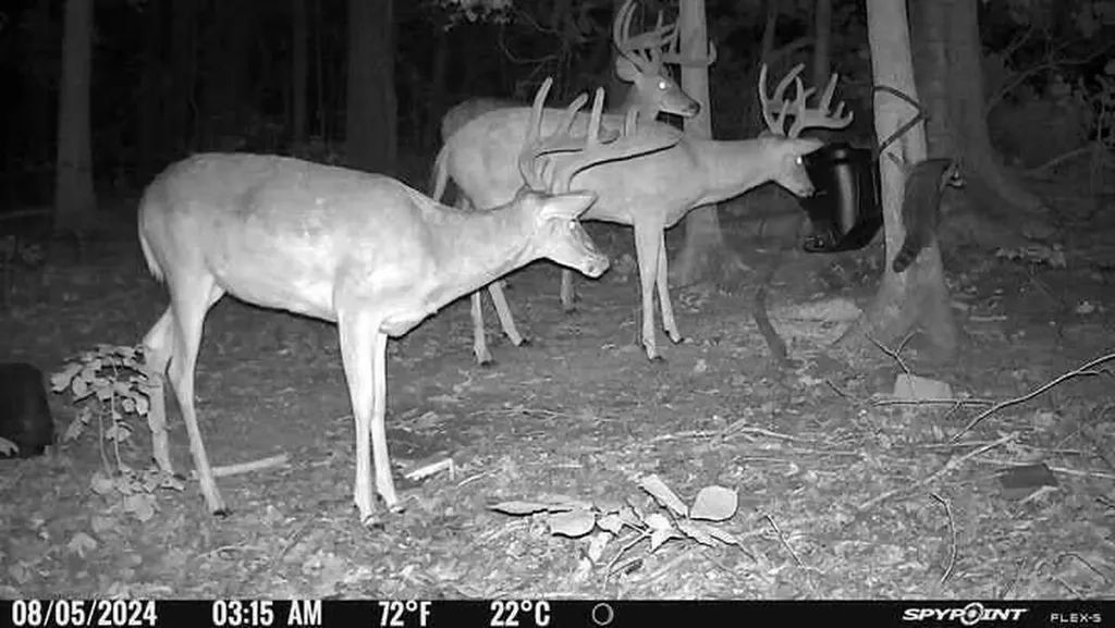 732 Highway 558 Albany KY 42602