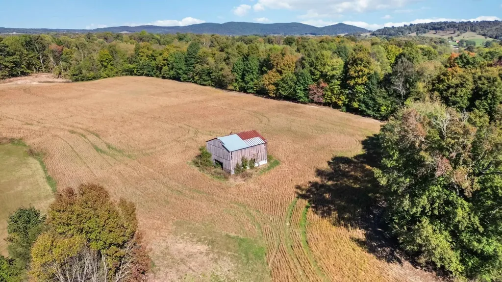 732 Highway 558 Albany KY 42602