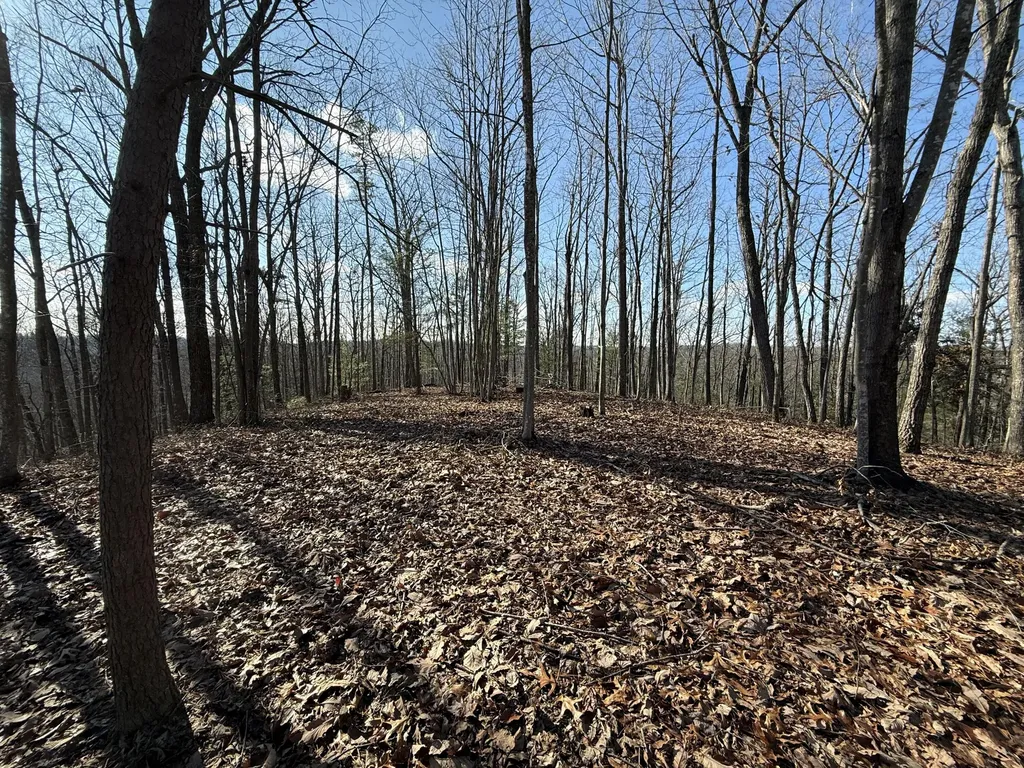 191 The Reserve At Cliffview Zoe KY 41397