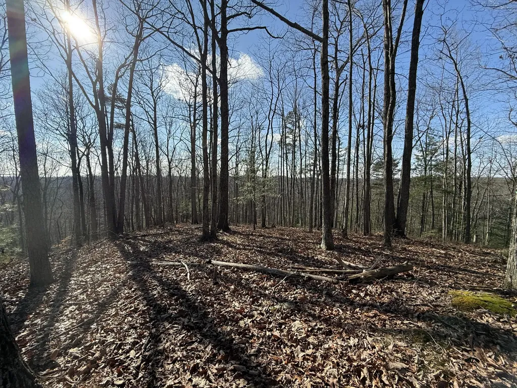 191 The Reserve At Cliffview Zoe KY 41397