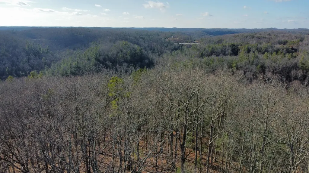 191 The Reserve At Cliffview Zoe KY 41397