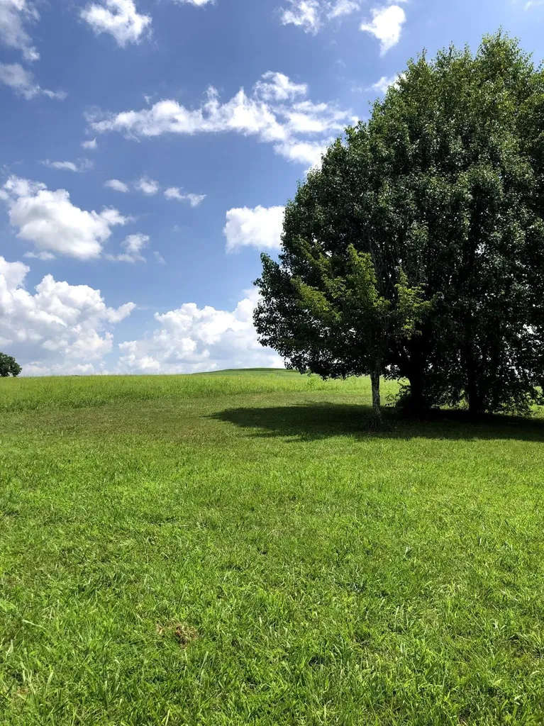 Lot 21 Hunter Drive Lancaster KY 40444