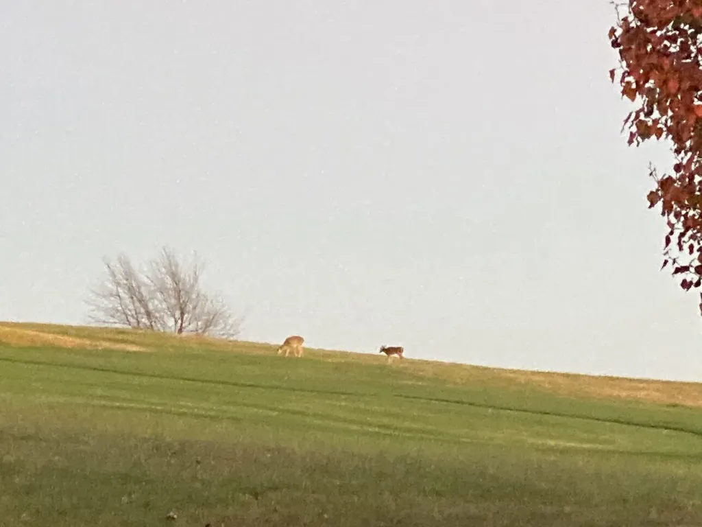 Lot 21 Hunter Drive Lancaster KY 40444