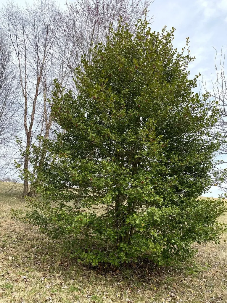 Lot 21 Hunter Drive Lancaster KY 40444