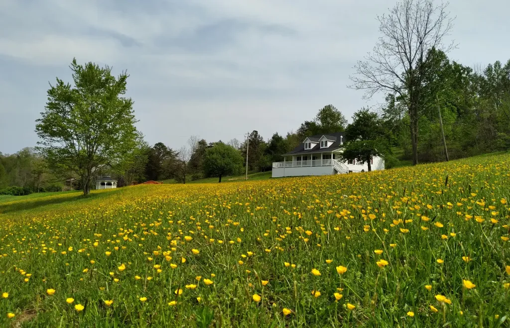 1037 High Rock Road Stanton KY 40380