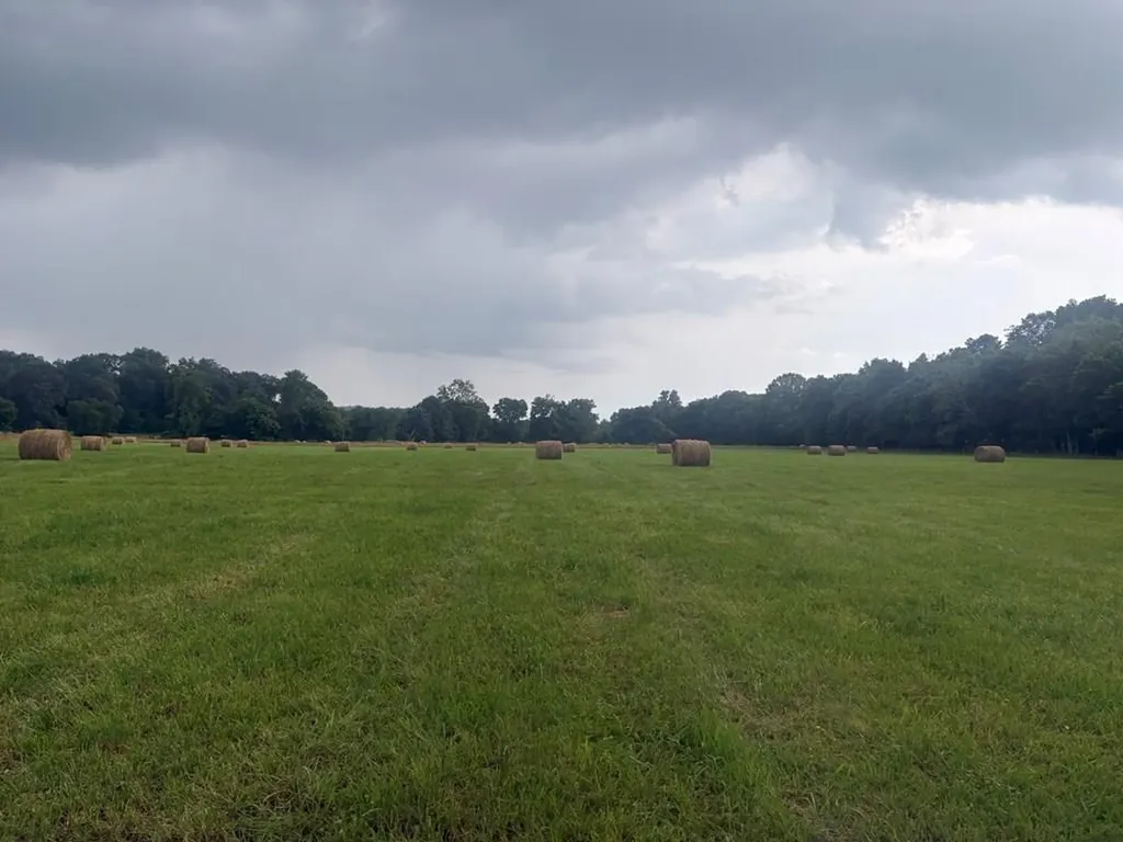 107 Hall Cemetary Road Cadiz KY 42211