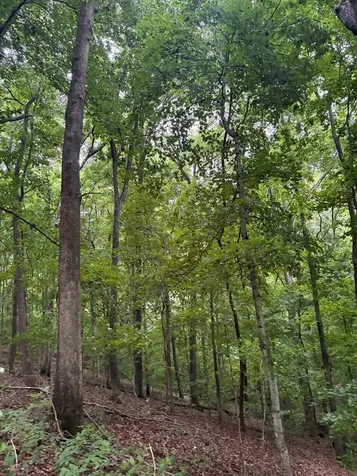 107 Hall Cemetary Road Cadiz KY 42211