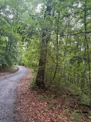 107 Hall Cemetary Road Cadiz KY 42211