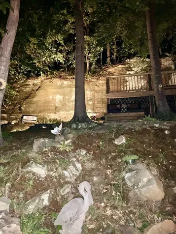 247 Shady Cliff Road Lewisburg KY 42256