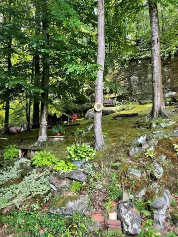 247 Shady Cliff Road Lewisburg KY 42256