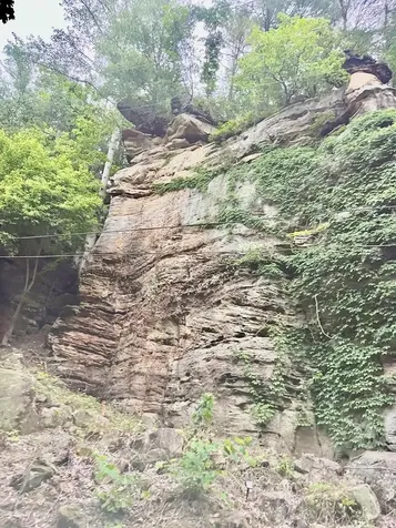 247 Shady Cliff Road Lewisburg KY 42256