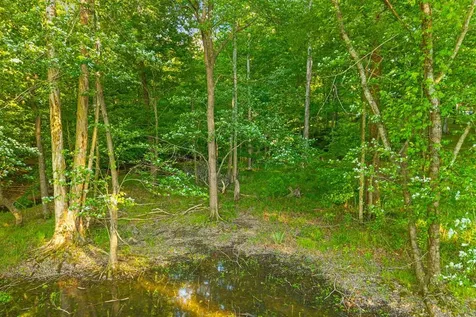 0 Periwinkle Hill Road Cadiz KY 42211